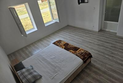 Casa Beregsaul mic+teren 1550 mp - 15