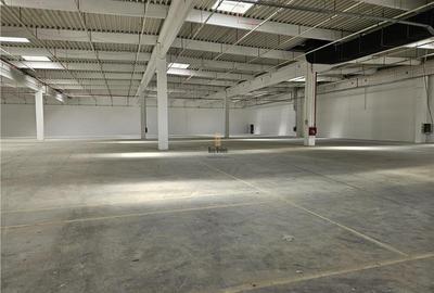 Spatiu Industrial - 3000 mp - Logistica - Productie - Depozitare - Distributie - 5