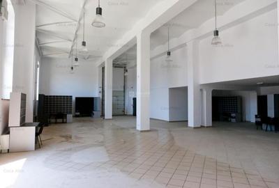 Spatiu de inchiriat, 809mp, amenajat, Tatarasi Sud - 1