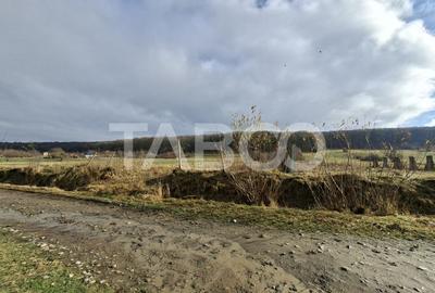 Teren intravilan de vanzare in Rasinari zona Calinis - 890 mp - 5