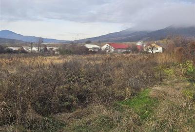 TEREN INTRAVILAN 10.700 mp  DE VANZARE  IN TG.OCNA - 2