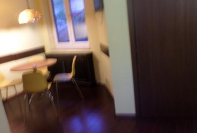 Apartament spatios in  Vila noua, curte, verdeata, ultracentral, - 20