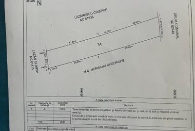 Vânzare – 2.581 mp, zonă liniștită, aproape de Curtea de Argeș - 1