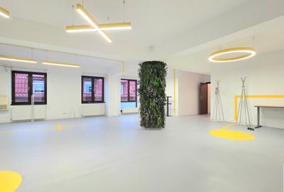 Vila -380mp utili 3 niveluri ideale pentru It/ creatie/ showroom - 10