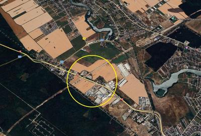 Teren Buftea-DN7-Strada Milano-Autostrada A0 - 1