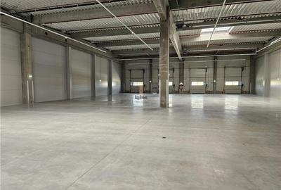 Spatiu Industrial - 4600 mp - Productie - Depozitare - Distributie - 4