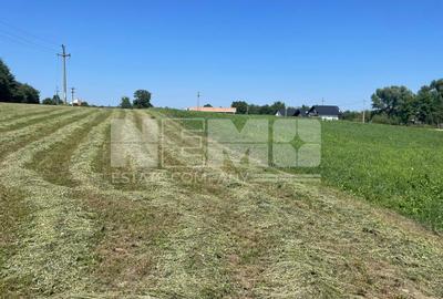 Teren Intravilan 2.462 mp – Ideal pentru Construcție sau Investiție - 4