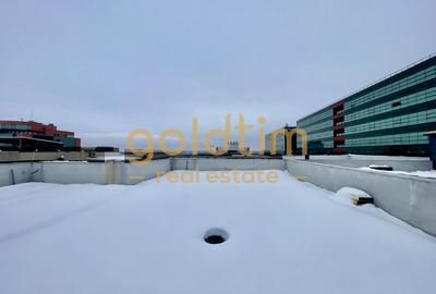 SPATII GENEROASE/PENTHOUSE CU GARDEN FLOOR/ 372 mp utili/PORSCHE NORD - 49