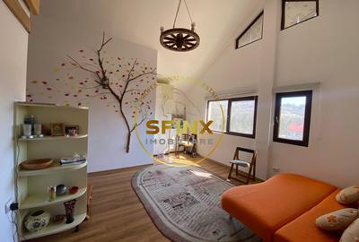 CASA DE VACANTA DE VANZARE-SLANIC PRAHOVA - 12