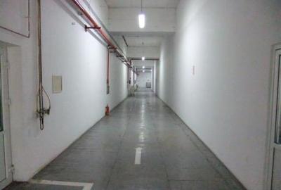 Complex industrial 30130  mp construit - Teren 42558 mp - 19