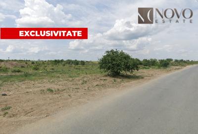Teren de vanzare | Catelu | 20.060 mp - 1