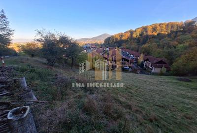 Teren intravilan Brasov Strada Ciresului 2900 mp - 7