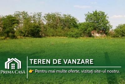 Teren intravilan de 3580 mp, în Călțuna