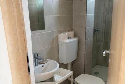 Oferte Inchirieri 2 Camere 1 Mai Popisteanu - 6