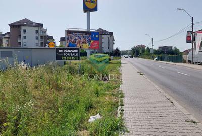 Teren de vanzare Otopeni - 31.668 mp - 2
