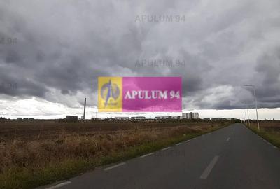 Hală 3600mp zona de Sud a capitalei - 32