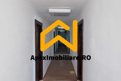 Spațiu industrial, de 550.00 mp, în Malu Roșu