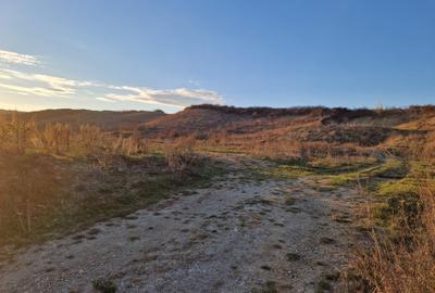 Teren  de hale cu  PUZ in  Dezmir