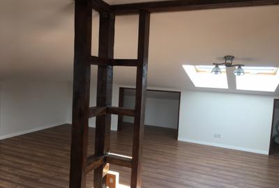 Inchiriere Vila De Lux Baneasa Sisesti - 27