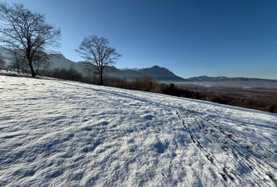 Teren intravilan intre 500 si 1000 mp   in zona Bran - 10