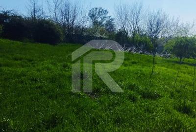 Teren intravilan de vânzare – Grădiștea, Ilfov, Aleea Primăriei - 7