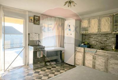 Casă renovată cu teren generos în Satu Mare,Secusigiu - 26