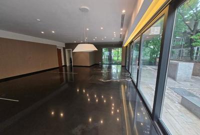 FLOREASCA | Spatiu comercial premium | Vitrina stradala Terasa 100 m - 8