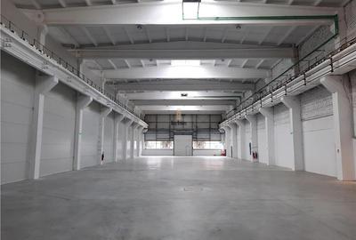 Spatiu Industrial - 1300 mp - Productie - Depozitare - Distributie - 5