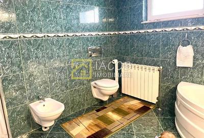 Casa P+1, str. Siretului, Serbanesti - Bacau - 29