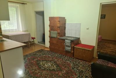 Vand  casa cu gradina - 5