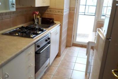 Unirii-Decebal-Rond Piata Alba Iulia,apartament 2 camere de inchiriat - 10