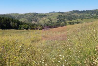 Teren intravilan de vanzare in Breaza (dezvoltare imobiliara) - 2