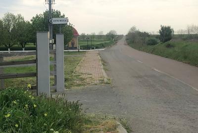 Teren 17.000mp Costinesti - zona Manastire - 100 euro/mp (Cod E2) - 10