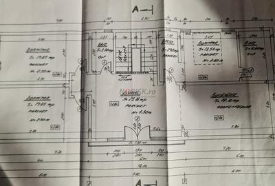 Vila + Afacere 15.000mp Clinceni - 31