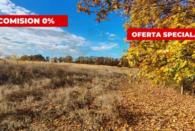 Teren Construcții intravilan de 10200 mp, în Moșoaia