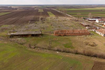 Fermă cu teren intravilan de 35000 mp în Mișca - 13