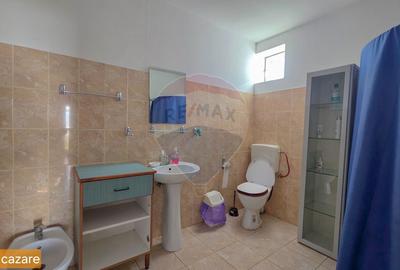 De vanzare spatiu industrial in Turnu Magurele - Teleorman - 19