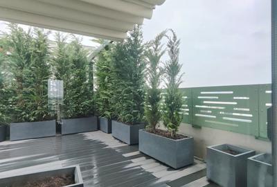 Theodor Pallady - vanzare penthouse - 1