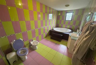 Casa Focsani, zona LIDL centru-str Alecu Russo, 485 mp teren ,casa P+1+M - 19