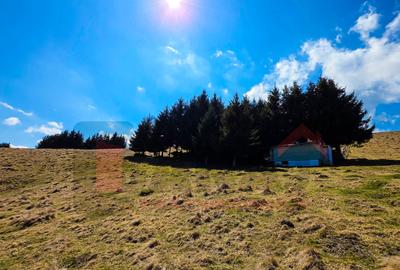 Proprietar | Teren Panoramic+PUZ + Cabana | Drumul Paltinisului |746mp - 11