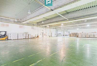 Hală industrială de 4.155 mp Calea Borșului - 10