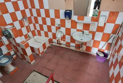 Service Auto/Spatiu Productie 300 Mp+ Apartament, Str Podeni, Unirii - 5