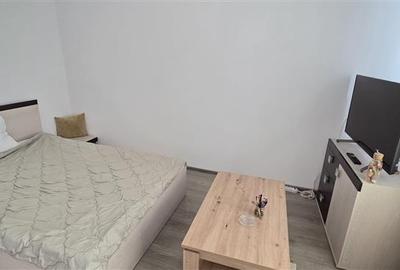 Inchiriere apartament 1 camera strada Dunarii Cluj-Napoca - 4