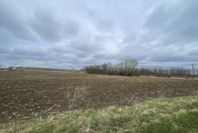 TEREN INTRAVILAN | 50 ARI | ZONA PERIFERICA RADAUTI - 7