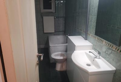 Calea Sagului- Apartament 2 camere-renovat complet - 11