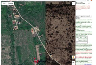 Teren in suprafata de 2.410 mp mp Paleu, jud. Bihor (licitatie) - 1