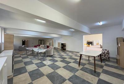 Showroom 107mp langa Carrefour, Kaufland, magazine tehnice - 6