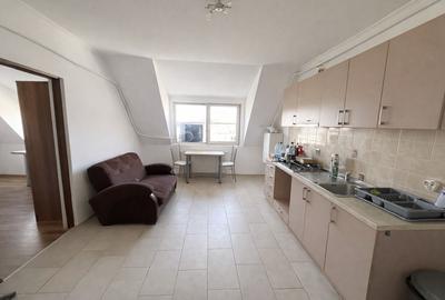 Apartament cu 3 camere Calea Lipovei - 2
