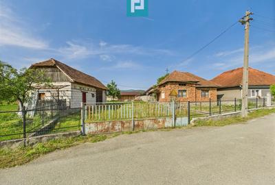 Casă cu teren de 4707 mp în Hălmăgel, județul Arad - 11