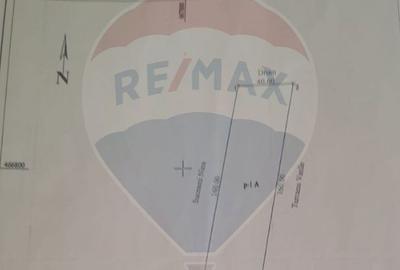 Teren 6,387mp Golesti / Drumul DC147 - 3